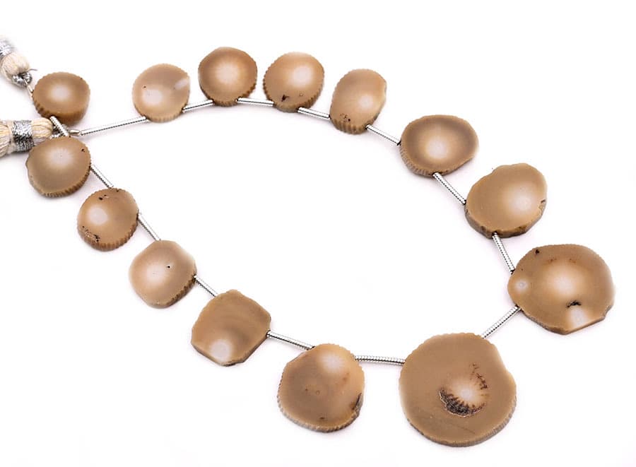 White Coral 7x9mm Organic Cut Slice gemstone bead strand